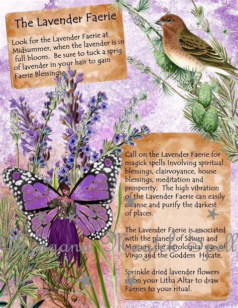 The Calming Influence of Lavender: From Anxieties to Astral Travel